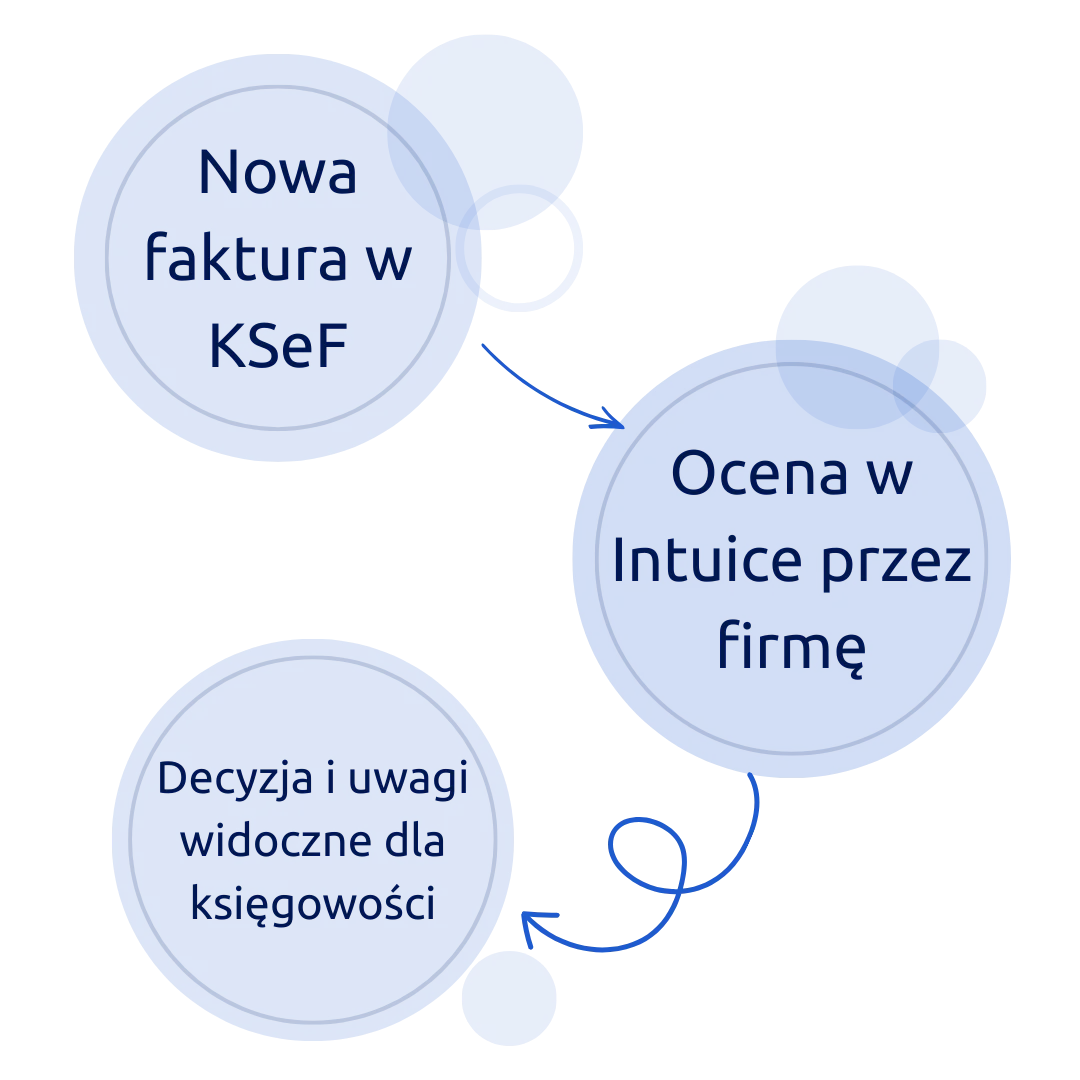 Podgląd aplikacji
